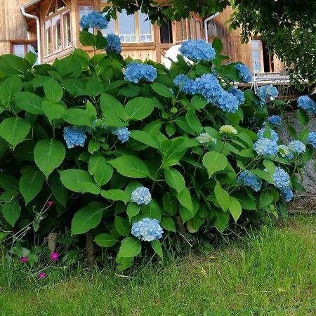 Couette-café Nostalgia