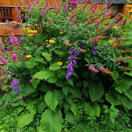 Nostalgia Szklarska Poreba