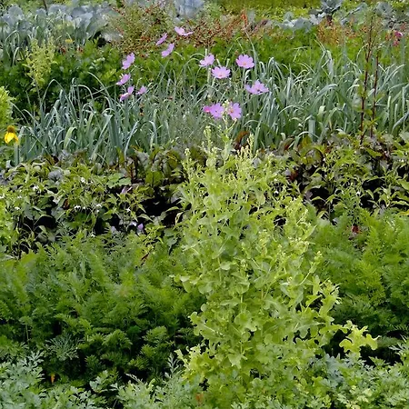 Nostalgia Bed & Breakfast Szklarska Poręba