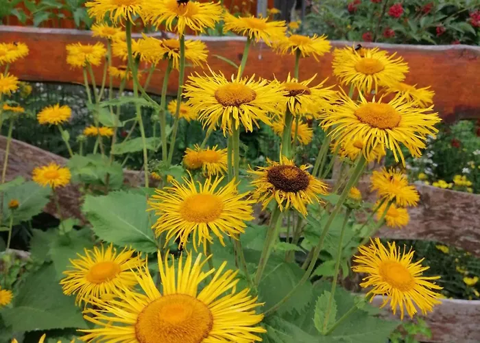 Bed & Breakfast Nostalgia