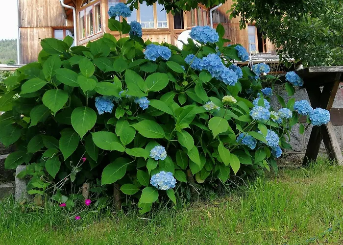 Bed & Breakfast Nostalgia