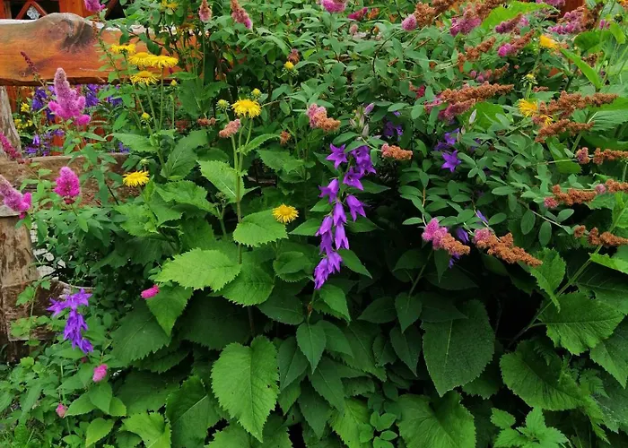 Nostalgia Sklářská Poruba