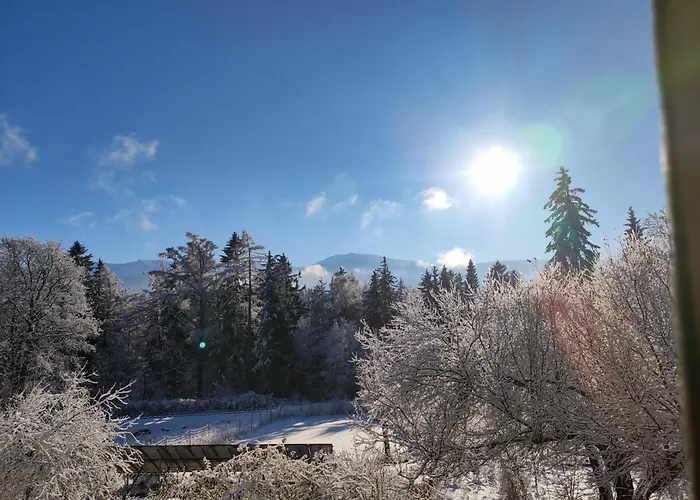 Nostalgia Bed & Breakfast