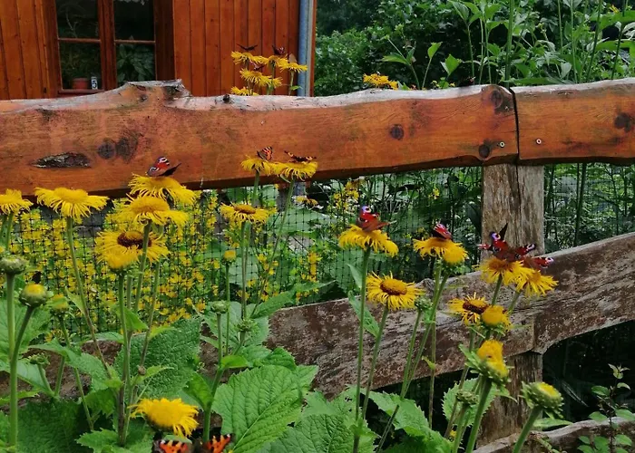 Nostalgia 3* Sklářská Poruba