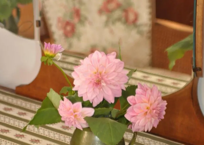 Alojamento de Acomodação e Pequeno-almoço Nostalgia Szklarska Poręba